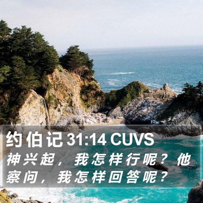 约 伯 记 31:14 CUVS Bible Verse Image