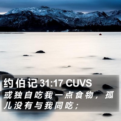 约 伯 记 31:17 CUVS Bible Verse Image