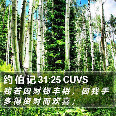 约 伯 记 31:25 CUVS Bible Verse Image