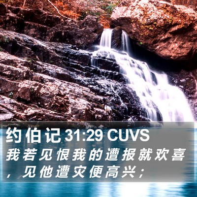 约 伯 记 31:29 CUVS Bible Verse Image