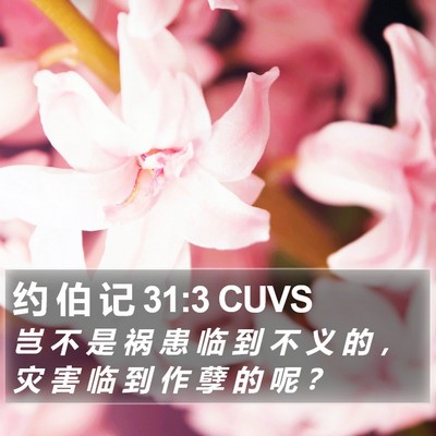 约 伯 记 31:3 CUVS Bible Verse Image