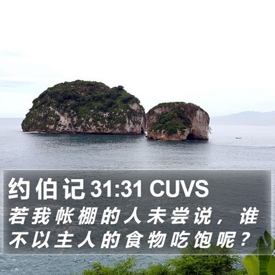 约 伯 记 31:31 CUVS Bible Verse Image