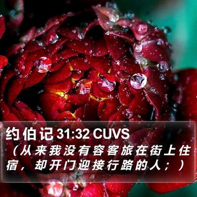 约 伯 记 31:32 CUVS Bible Verse Image
