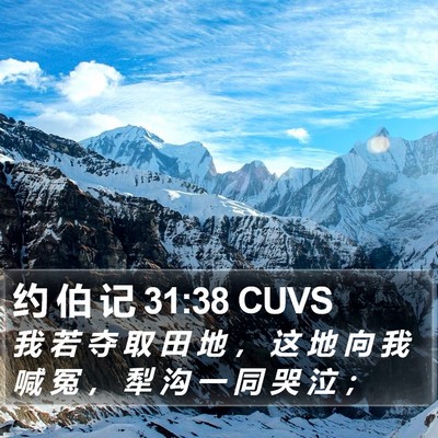 约 伯 记 31:38 CUVS Bible Verse Image