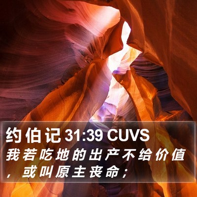 约 伯 记 31:39 CUVS Bible Verse Image