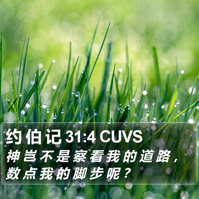 约 伯 记 31:4 CUVS Bible Verse Image