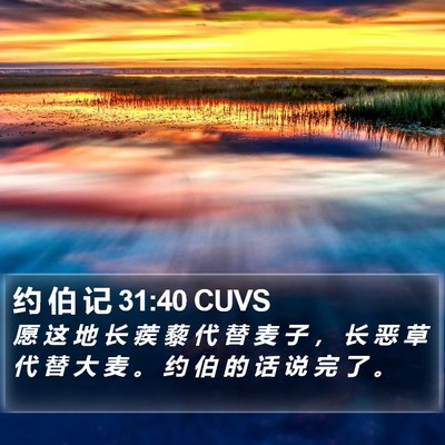 约 伯 记 31:40 CUVS Bible Verse Image