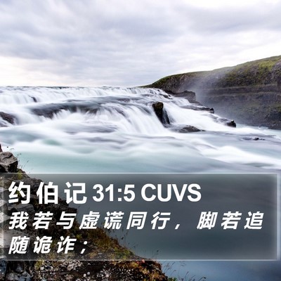 约 伯 记 31:5 CUVS Bible Verse Image