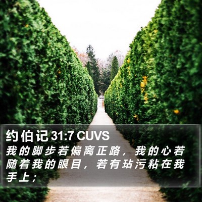 约 伯 记 31:7 CUVS Bible Verse Image
