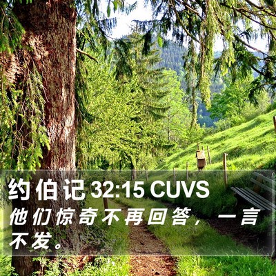 约 伯 记 32:15 CUVS Bible Verse Image