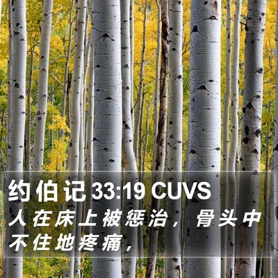 约 伯 记 33:19 CUVS Bible Verse Image
