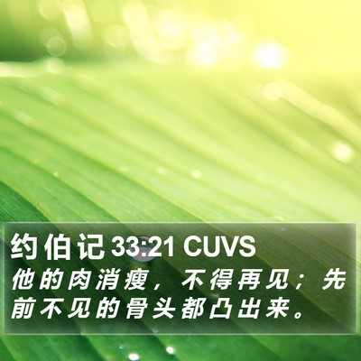 约 伯 记 33:21 CUVS Bible Verse Image