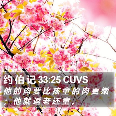 约 伯 记 33:25 CUVS Bible Verse Image