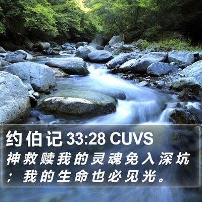 约 伯 记 33:28 CUVS Bible Verse Image