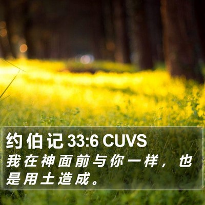 约 伯 记 33:6 CUVS Bible Verse Image