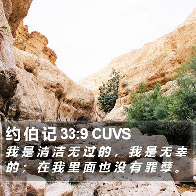 约 伯 记 33:9 CUVS Bible Verse Image