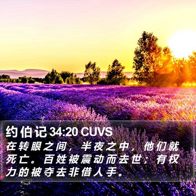 约 伯 记 34:20 CUVS Bible Verse Image