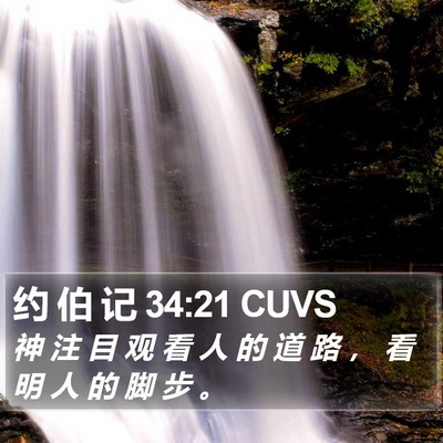 约 伯 记 34:21 CUVS Bible Verse Image