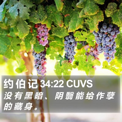 约 伯 记 34:22 CUVS Bible Verse Image