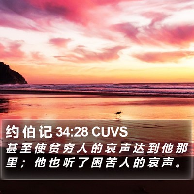 约 伯 记 34:28 CUVS Bible Verse Image