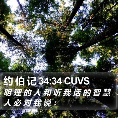 约 伯 记 34:34 CUVS Bible Verse Image