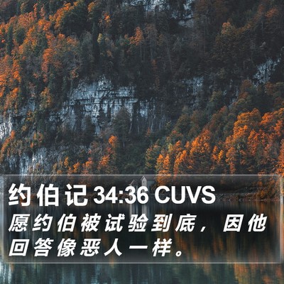 约 伯 记 34:36 CUVS Bible Verse Image
