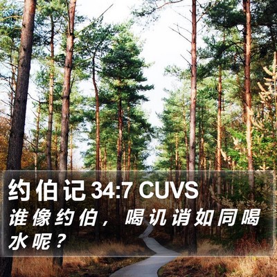 约 伯 记 34:7 CUVS Bible Verse Image