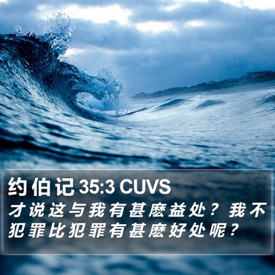 约 伯 记 35:3 CUVS Bible Verse Image