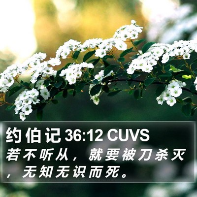 约 伯 记 36:12 CUVS Bible Verse Image