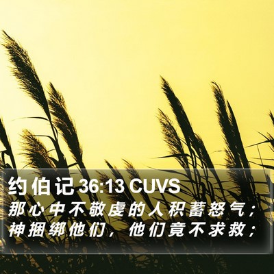 约 伯 记 36:13 CUVS Bible Verse Image