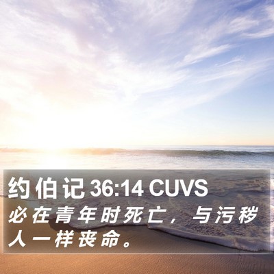 约 伯 记 36:14 CUVS Bible Verse Image