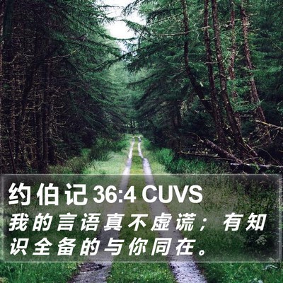 约 伯 记 36:4 CUVS Bible Verse Image