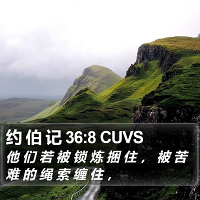 约 伯 记 36:8 CUVS Bible Verse Image
