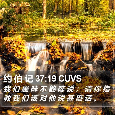 约 伯 记 37:19 CUVS Bible Verse Image