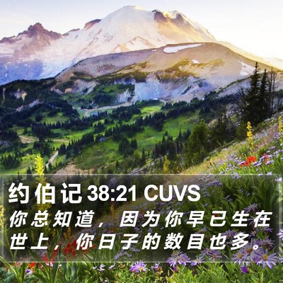 约 伯 记 38:21 CUVS Bible Verse Image