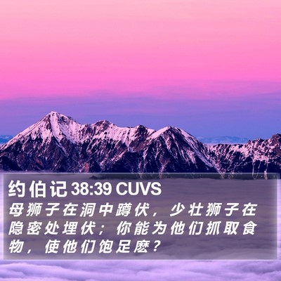 约 伯 记 38:39 CUVS Bible Verse Image