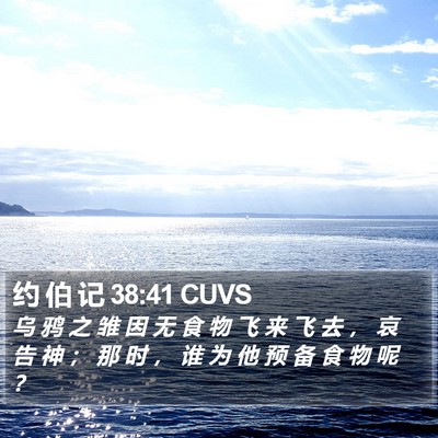 约 伯 记 38:41 CUVS Bible Verse Image