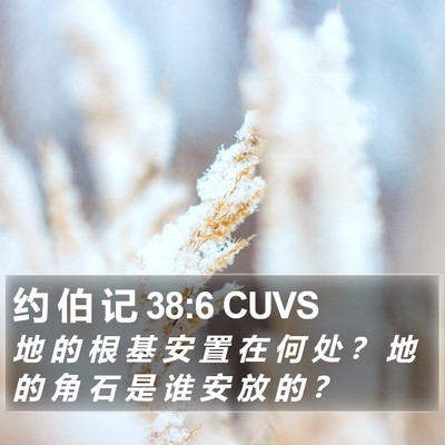 约 伯 记 38:6 CUVS Bible Verse Image