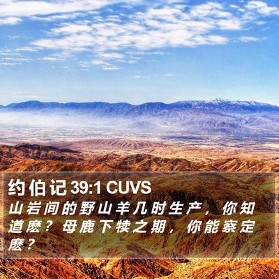 约 伯 记 39:1 CUVS Bible Verse Image