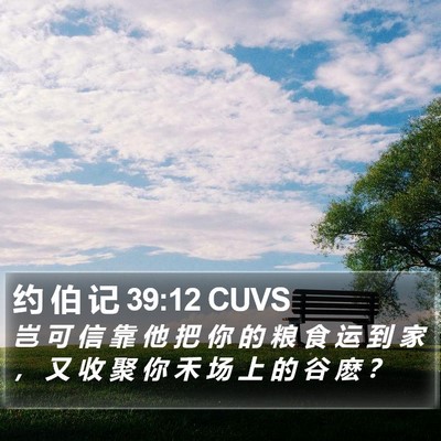 约 伯 记 39:12 CUVS Bible Verse Image