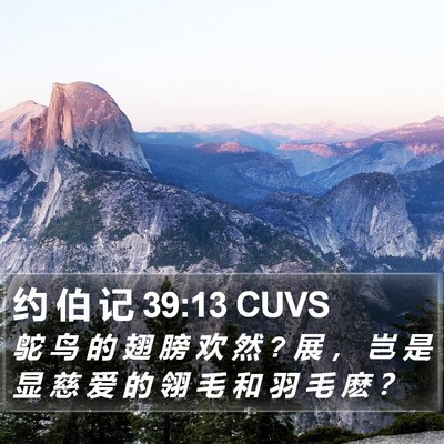约 伯 记 39:13 CUVS Bible Verse Image