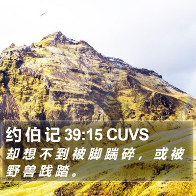 约 伯 记 39:15 CUVS Bible Verse Image