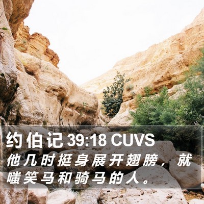 约 伯 记 39:18 CUVS Bible Verse Image