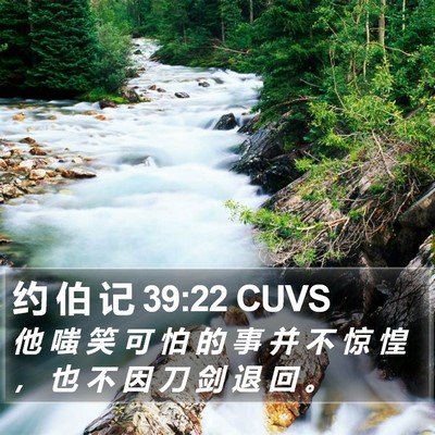 约 伯 记 39:22 CUVS Bible Verse Image