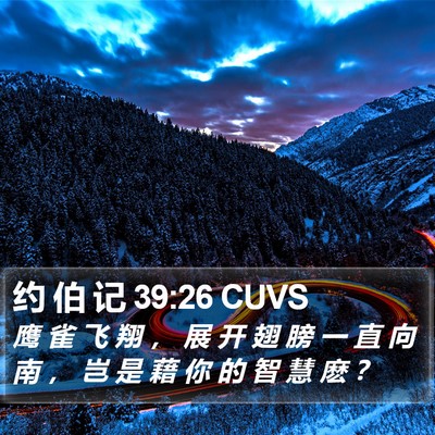 约 伯 记 39:26 CUVS Bible Verse Image