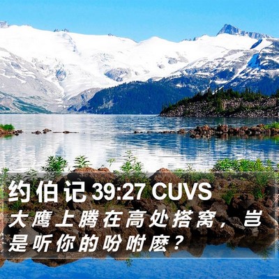 约 伯 记 39:27 CUVS Bible Verse Image