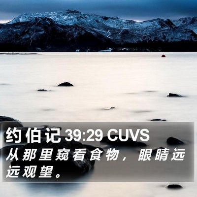 约 伯 记 39:29 CUVS Bible Verse Image