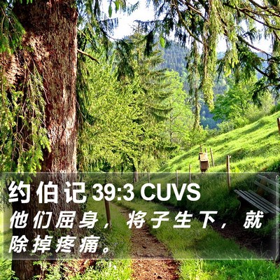 约 伯 记 39:3 CUVS Bible Verse Image