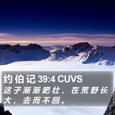 约 伯 记 39:4 CUVS Bible Verse Image