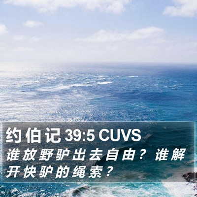 约 伯 记 39:5 CUVS Bible Verse Image